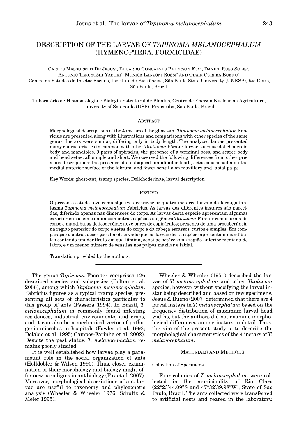 Description of the Larvae of Tapinoma Melanocephalum (Hymenoptera: Formicidae)