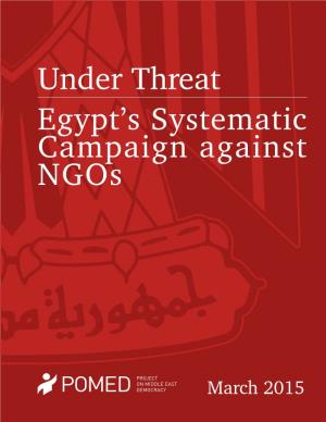 Egypt's Systematic Campaign Against Ngos Under Threat