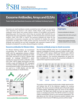 Product Sheet: Exosome Antibodies and Elisas