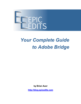 Your Complete Guide to Adobe Bridge