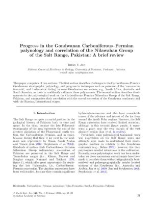 Progress in the Gondwanan Carboniferous–Permian Palynology and Correlation of the Nilawahan Group of the Salt Range, Pakistan: a Brief Review