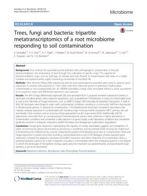 Trees, Fungi and Bacteria: Tripartite Metatranscriptomics of a Root Microbiome Responding to Soil Contamination E