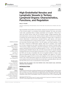 High Endothelial Venules and Lymphatic Vessels in Tertiary Lymphoid Organs: Characteristics, Functions, and Regulation