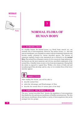 Lesson 7.Normal Flora of Human Body(290