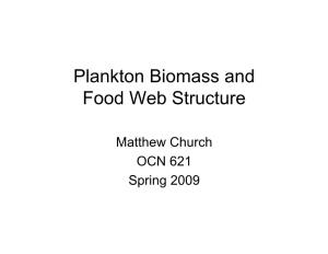 Plankton Biomass and Food Web Structure