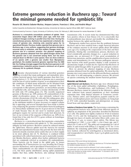 Extreme Genome Reduction in Buchnera Spp.: Toward the Minimal Genome Needed for Symbiotic Life
