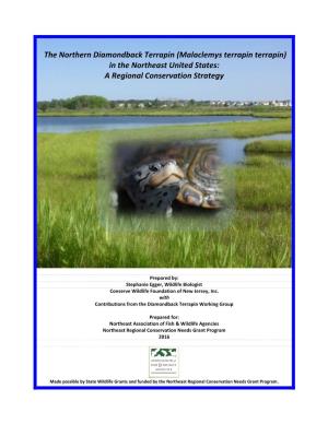 RCN NE Terrapin Conservation Strategy