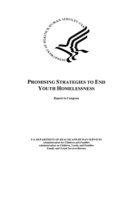 Promising Strategies to End Youth Homelessness