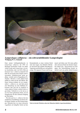 Lamprologus Callipterus – Ein Schwarmbildender Lamprologini Wolfgang W