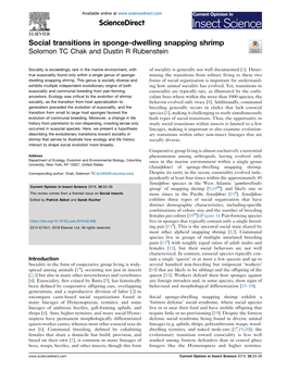 Social Transitions in Sponge-Dwelling Snapping Shrimp