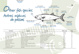 Marine Species Identification Manual for Horizontal Longline