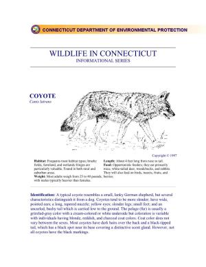 Wildlife in Connecticut Informational Series