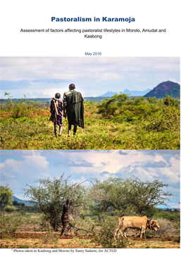 Pastoralism in Karamoja