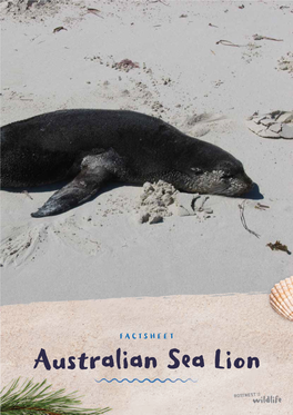 Australian Sea Lion FACTSHEET Australian Sea Lion