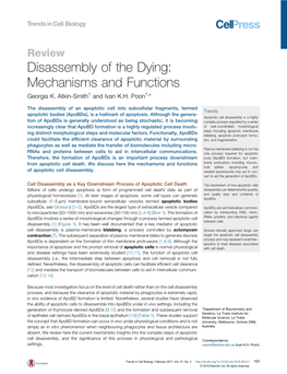 Disassembly of the Dying: Mechanisms and Functions