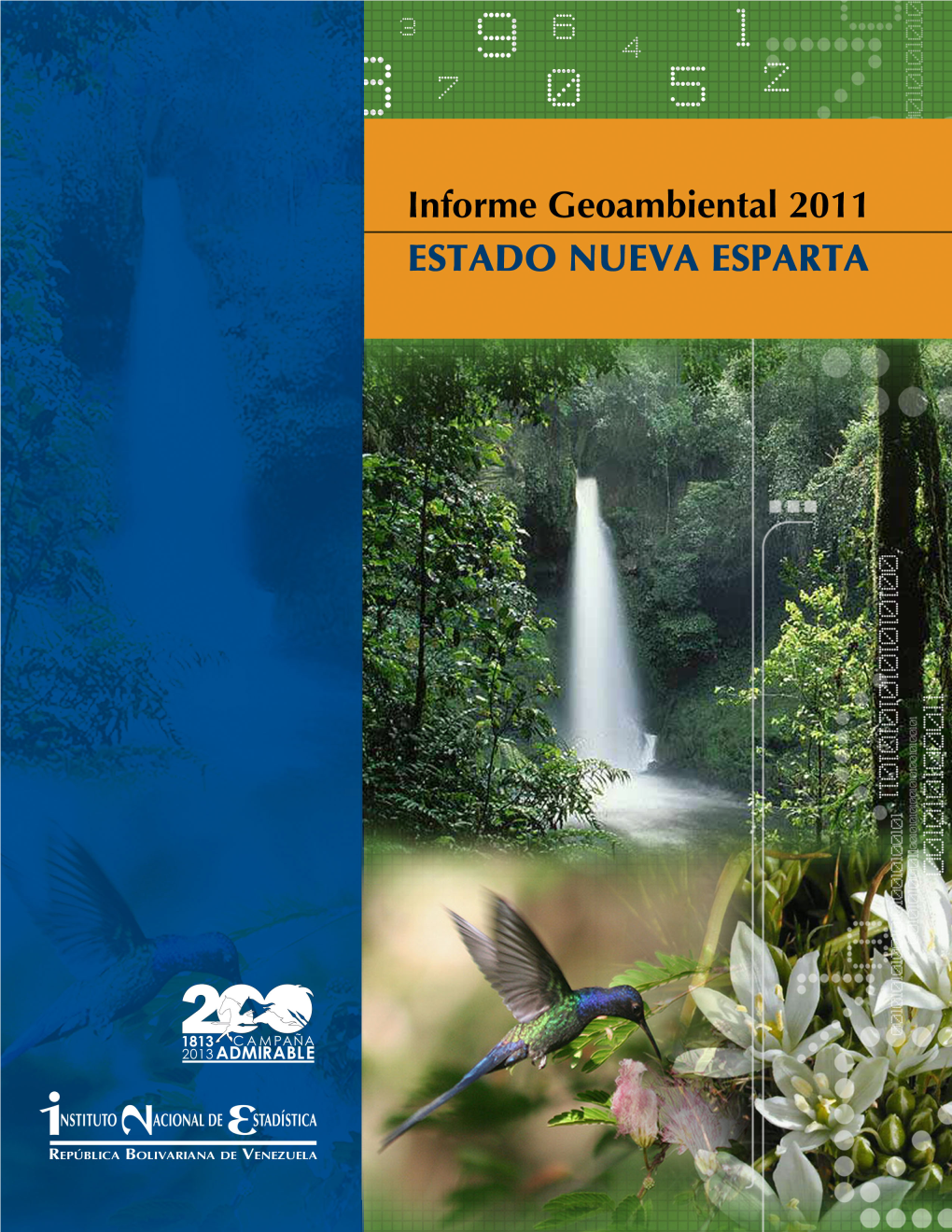 Informe Geoambiental Estado Nueva Esparta 2011