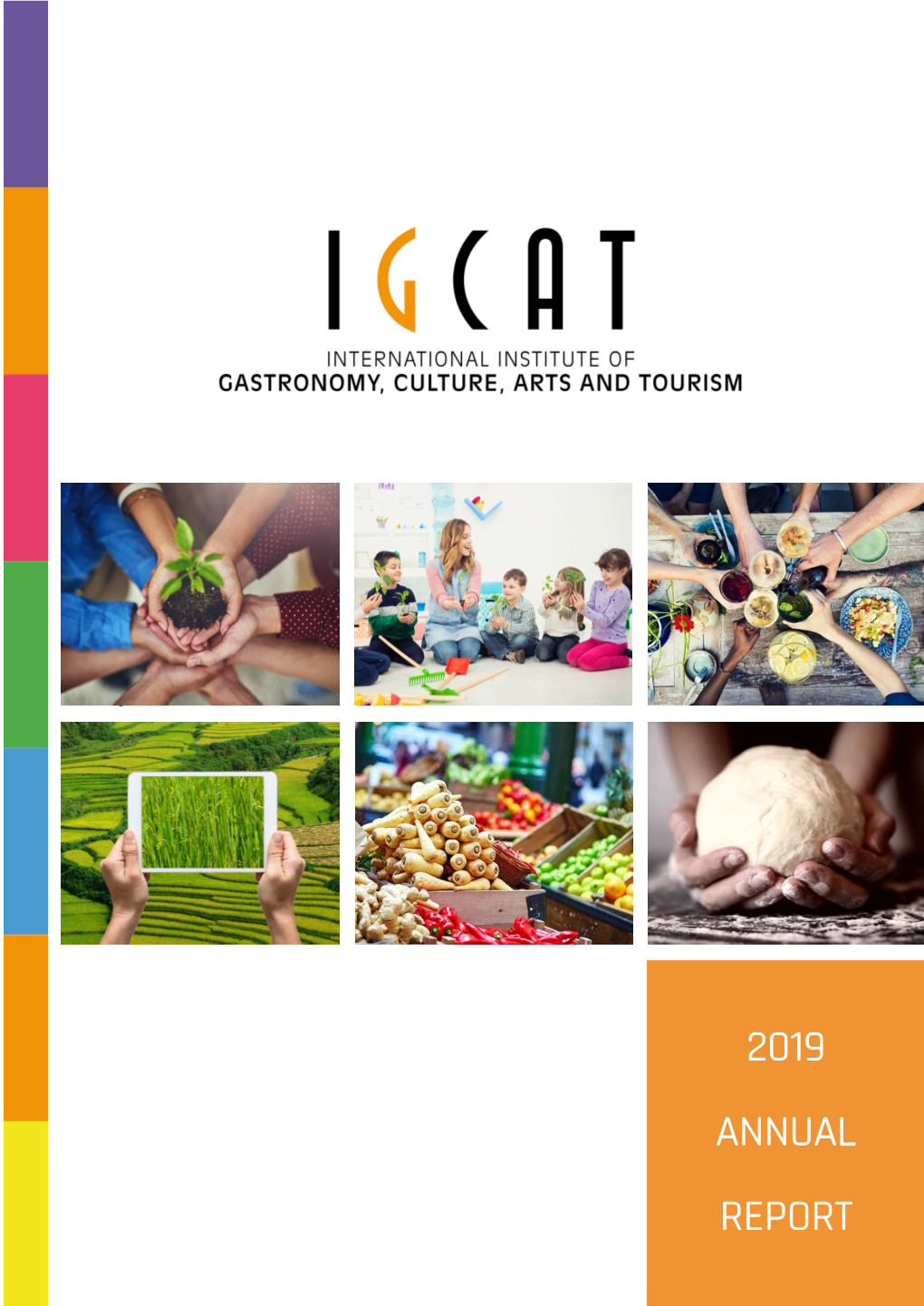 2019 Igcat Annual Report