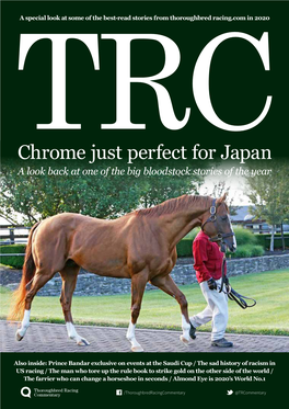 Chrome Just Perfect for Japan a Look Back at One of the Big Bloodstock Stories of the Year