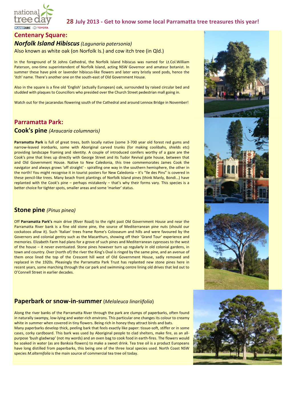 Get to Know Some Local Parramatta Tree Treasures This Year!