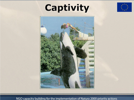 Captivity How Many ?