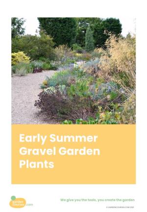 Early Summer Gravel Garden Plants