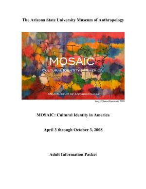 MOSAIC: Cultural Identity in America