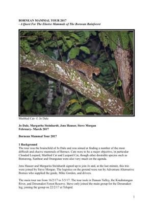 BORNEAN MAMMAL TOUR 2017 - a Quest for the Elusive Mammals of the Bornean Rainforest