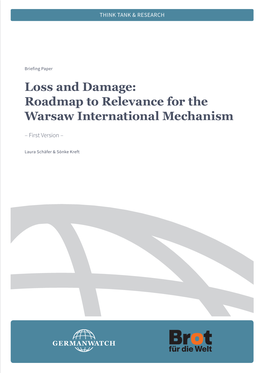 Loss and Damage: Roadmap to Relevance for the Warsaw International Mechanism