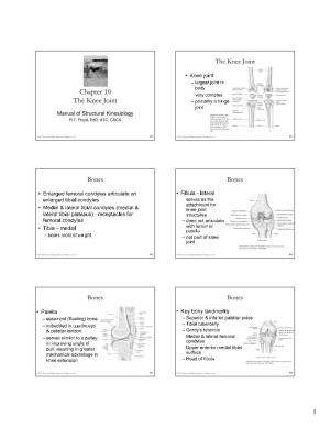 Chapter 10 the Knee Joint