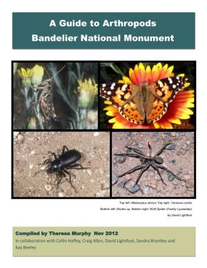 A Guide to Arthropods Bandelier National Monument