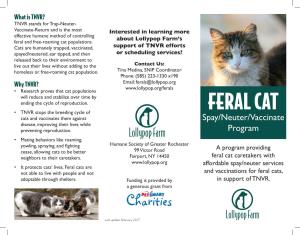 Feral and Free-Roaming Cat Populations