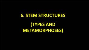 6. Stem Structures (Types and Metamorphoses) 2