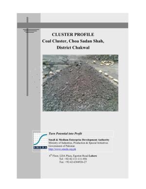 CLUSTER PROFILE Coal Cluster, Choa Sadan Shah, District Chakwal
