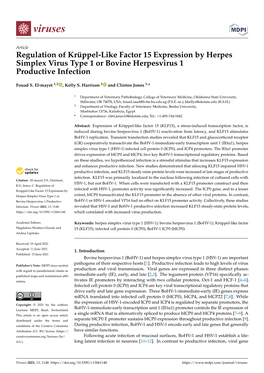 Regulation of Krüppel-Like Factor 15 Expression by Herpes Simplex Virus Type 1 Or Bovine Herpesvirus 1 Productive Infection