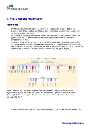 4. MHC & Antigen Presentation