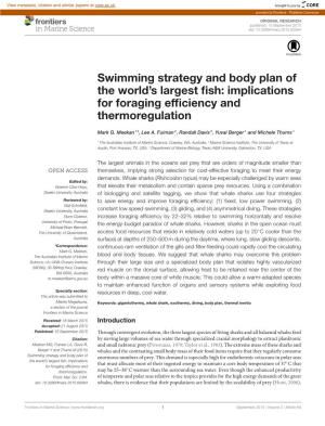 Implications for Foraging Efficiency and Thermoregulation