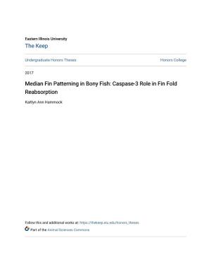 Median Fin Patterning in Bony Fish: Caspase-3 Role in Fin Fold Reabsorption