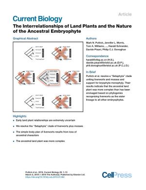 The Interrelationships of Land Plants and the Nature of the Ancestral Embryophyte