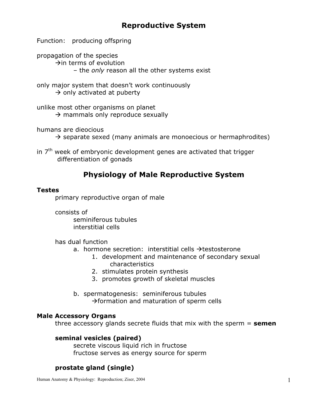 Reproductive System Physiology of Male Reproductive System