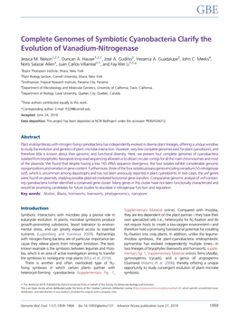 Complete Genomes of Symbiotic Cyanobacteria Clarify the Evolution of Vanadium-Nitrogenase
