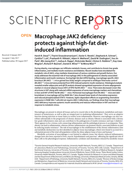 Macrophage JAK2 Deficiency Protects Against High-Fat Diet-Induced