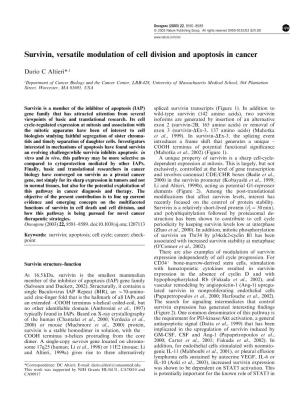 Survivin, Versatile Modulation of Cell Division and Apoptosis in Cancer