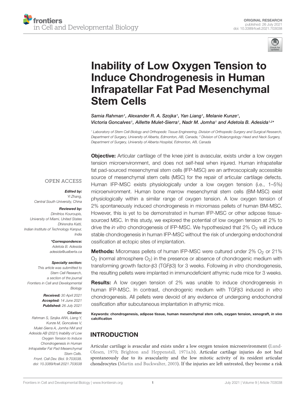 Inability of Low Oxygen Tension to Induce Chondrogenesis in Human Infrapatellar Fat Pad Mesenchymal Stem Cells