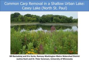 Common Carp Removal in a Shallow Urban Lake: Casey Lake (North St