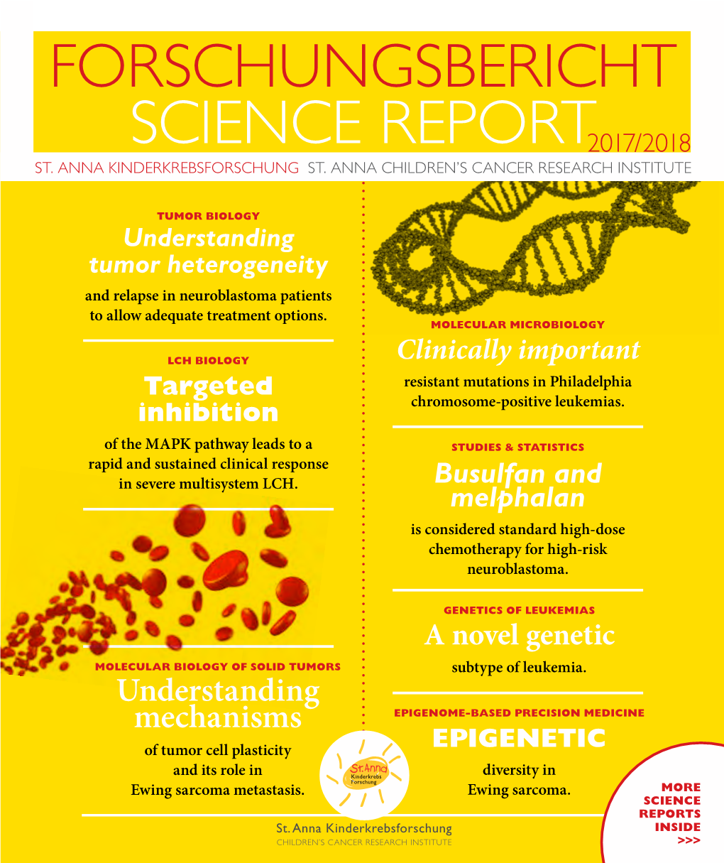 Forschungsbericht Science Report