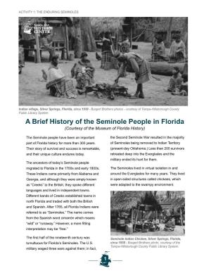 A Brief History of the Seminole People in Florida (Courtesy of the Museum of Florida History)