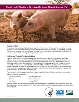 What People Who Raise Pigs Need to Know About Influenza (Flu)