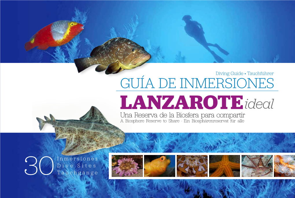 Guía De Inmersiones De Lanzarote