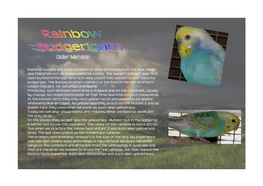 Rainbow Budgies Are a Combination of Several Mutations in the Blue Range and Therefore Not an Independent Mutation