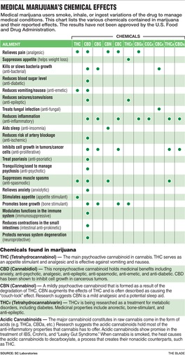 Medical Marijuana's Chemical Effects
